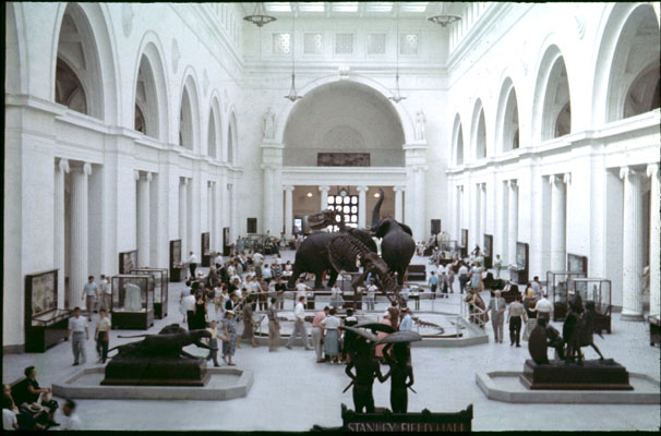 Field Museum - Chicago